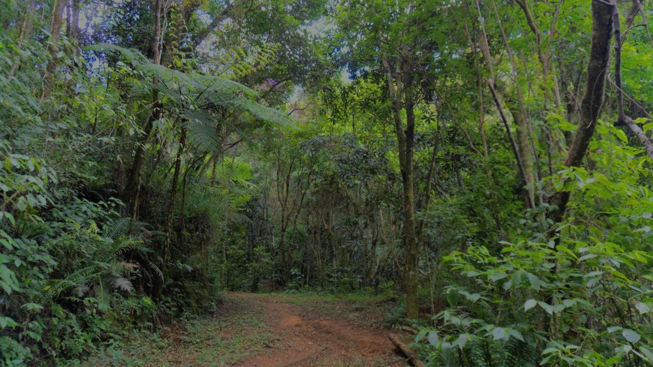 Pousada Alpes Santo Antônio do Pinhal Dış mekan fotoğraf
